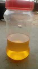 Ghee - Image 1