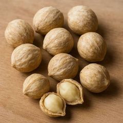 Premium Indonesian Candlenut – product photo 1, product detail gallery