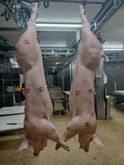 Frozen pork - Image 1