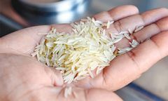 Premium Pakistani Rice | Basmati & Non-Basmati Rice | Rice Exporter | Wholesale Rice Supplier | Factory Direct – product photo 5, product detail gallery