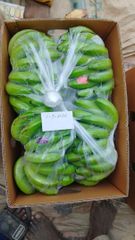 Pakistani fresh banana cavendish - Image 2