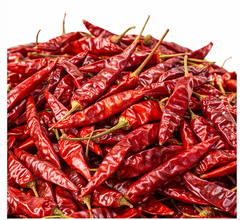 Dry Red Chilli – Premium Export Quality – product photo 3, product detail gallery