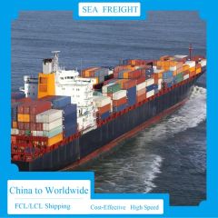 Worldwide Sea Freight Forwarding Agent From China - Image 5