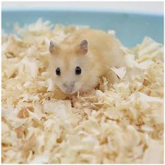 Mini Wood Chipper Shaving Machine for Animal Bedding - Image 4