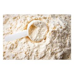 Premium whey protein bulk supply wholesale affordable price bodybuilding powder - Image 3