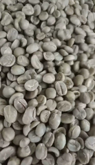Premium Grade Arabica Kintamani for wholesale export – product photo 1, product detail gallery