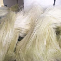 Clean Processed Sisal Fiber For Eco Friendly Packaging Cushioning Material And Sustainable Fiber Applications - Image 2