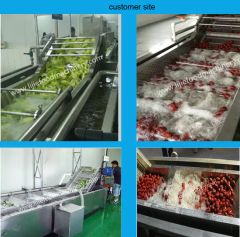 Fruit Vegetable Ozone Washing Cleaning Machine Line Name Washer Power 0.75KW Color Silver Trademark LIJIE Capacity - Image 4