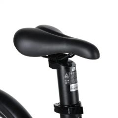 Hidden Battery 20" Electric City Bike 250W 36V Ebike Rear Drive Folding Electric Bicycle - Image 3