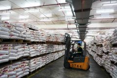 Buy Basmati Rice Online – Premium Long Grain Aromatic Rice Competitive Wholesale Prices - Image 2