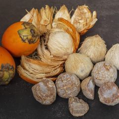 Affordable Betel Nuts Fresh Natural Whole and Split Areca Nuts Premium Quality for Retail, Wholesale and Food Industry - Image 1