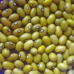 Yellow Beans – product photo 1, product detail gallery