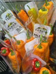 FRESH PALERMO VIETNAM - Image 5