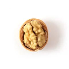 Whosales Chinese Traditional Nutrition Nuts Origin China Storage Shade Processing Raw Trademark sugo HS Code 0802320000 Transport Package Carton - Image 4