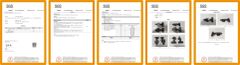 SGS certificate from Foshan Maxtolle Technology Co., Ltd.