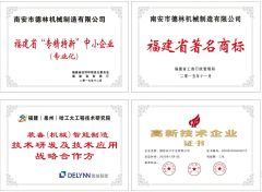 Domestic Certificate certificate of Delin Intelligent Technology Co., Ltd. – certificate photo, supplier certificates section