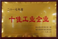 Top 10 Enterprises certificate of Shandong Fuxin Automobile Technology Co., Ltd. – certificate photo, supplier certificates section