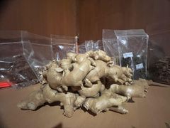 FRESH GINGER - Image 5