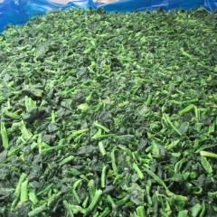 Frozen Spinach HALA Shandong 1Y 12M Shelf MOQ100 89% Nutretention - Image 5