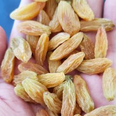 Factory Price Natural and Fresh Raisins Nuts for Sale - Image 3