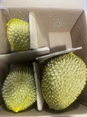Frozen whole durian - Variety: Monthong – product photo 1, product detail gallery