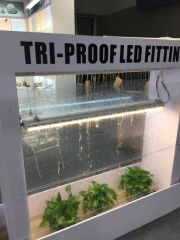 Professional Batch Intelligent Patented Design Tri Proof LED Light Tubes - Image 6