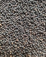 Black Pepper – product photo 4, product detail gallery