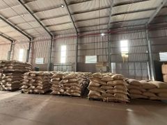 Robusta Green Coffee Bean - Origin Java, Indonesia, PT Harvest Nusa Trading, Lets Connect - Image 5