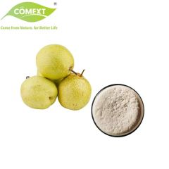 Comext Pear Juice Powder Food Grade 24M Shelf HPLC Pyrus Nivalis MOQ100 - Image 2