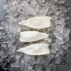 sells Frozen Squid, Frozen Calamari and Squid Ring products - Image 2