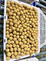 fresh longan thailand Texture Crunchy Weight (kg) 12.5 KG. Flavor Sweet And Delicious Packaging Details White Plastic Baskets - Image 2