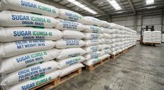 BRAZILIAN REFINED CANE SUGAR ICUMSA 45 (Export Grade / Bulk Supply / MOQ 25 000 - 100,000 MT Spot/CIF/FOB) - Image 1