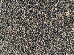 Black Pepper – product photo 1, product detail gallery