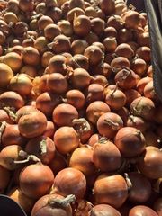 Fresh Yellow Onion, China Origin, Factory Direct Supply – product photo 3, product detail gallery
