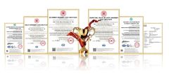 certificate certificate from Linqing Hongbang Bearing Co., Ltd