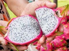 Dragon Fruit – product photo 4, product detail gallery