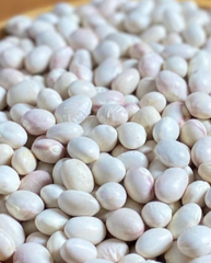 Bean Shape 9 mm Taste Amazing Packaging 1 kg - 2.5 kg - 5 - Image 1