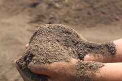 Organic fertilizer - Image 1