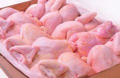Frozen Chicken, Chicken Paws , Chicken Feet, breast meat, quarter leg, drumstick, neck, thighs - Image 1