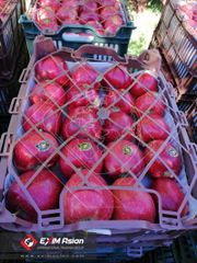 Iran Fresh Apples ( Red apple, Yellow apple, Green apple ) - Image 4