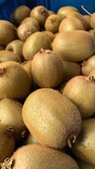 FRESH PREMIUM KIWIFRUIT FROM SOUTH AFRICA! CLASS 1 QUALITY! NEW CROPS EXCELLENT PACKING - Image 2