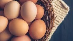 Chicken Eggs – product photo 1, product detail gallery