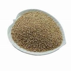 Animal Feed Corn frozenchickenexports.com - Image 3