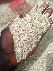 Nigerian Hulled White Sesame Seeds 99.95% Purity, or Natural Raw Sesame Seeds (Human Grade) – product photo 1, product detail gallery