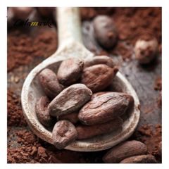 Cocoa Bean High Quality Raw Cocoa Bean Ghana Organic Cacao Bean price - Image 2