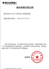 Our certificates certificate of SHANGHAI TUYOUDA AUTO EXPORT CO., LTD. – certificate photo, supplier certificates section