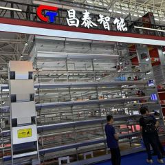Hot Galvanizing Good Quality H Type Farming Poultry Battery Cage - Image 2