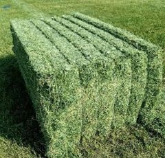 AlfAlfalfa hay specifications typically require a moisture level under 12-14% and a crude pr - Image 5