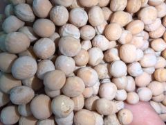 Peas - Image 1