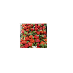 Import organic strawberry fresh with wonderfully aromatic IQF strawberry bulk sale frozen strawberry fresh new season frozen - Image 2